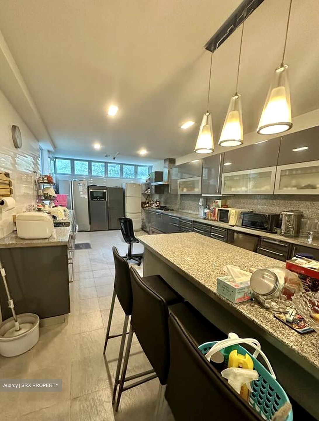 Kim Lin Park (D10), Detached #496237911